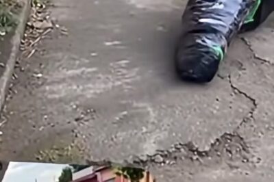 🚨Breaking news: 🚨Body found confirmed to be…