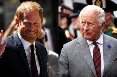 King Charles Has Reportedly Made One Offer to Prince Harry — and It Could Change Everything…